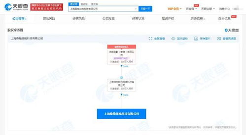 上海軟件代理與開(kāi)發(fā) 企業(yè)數(shù)字化轉(zhuǎn)型的雙引擎